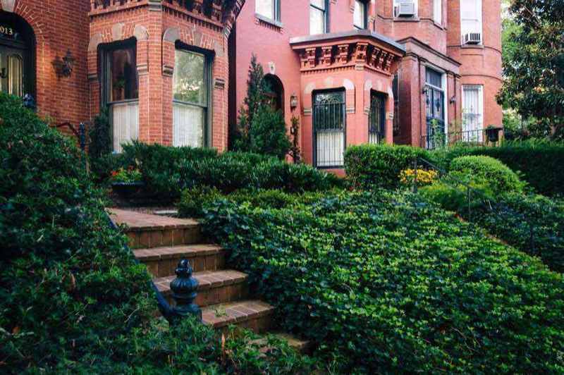 Row houses near Dupont Circle, Washington D.C.